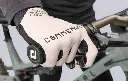T24GVCOCK5.webp